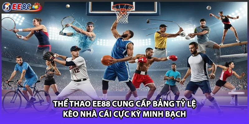 Thể thao EE88 cung cấp bảng tỷ lệ kèo nhà cái cực kỳ minh bạch